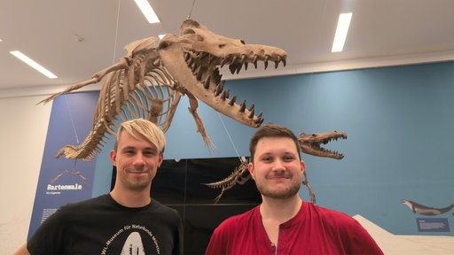 Zwei Kuratoren stehen vor zwei aufgehängten Walskeletten in der Ausstellung.