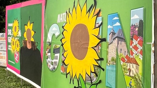 Das Bild zeigt Wahlplakate der Grünen, die mit Sonnenblumen beschmiert wurden.
