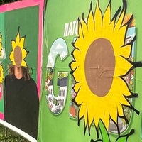 Das Bild zeigt Wahlplakate der Grünen, die mit Sonnenblumen beschmiert wurden.
