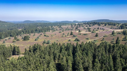 Luftaufnahme der Bergheiden im Naturschutzgebiet "Neuer Hagen", auch Niedersfelder Hochheide genannt.