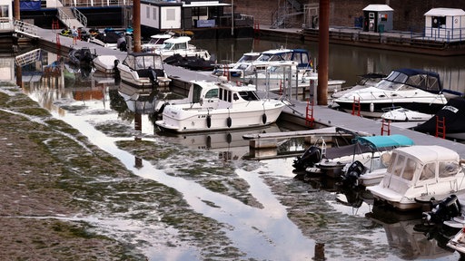 Boote im Rheinauhafen liegen im Schlam. Köln, 28.07.2026.