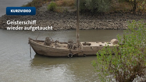 Niedrigwasser legt Aalschokker frei | Video | tn