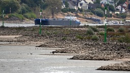Ein Frachtschiff fährt bei niedrigem Wasserstand auf dem Rhein.