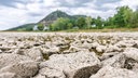 Niedrigwasser am Rhein zwischen Rhöndorf und Bad Honnef: Bei anhaltender Trockenheit und einer neuen Hitzewelle liegt das Flussbett teilweise trocken