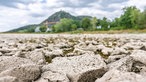 Niedrigwasser am Rhein zwischen Rhöndorf und Bad Honnef: Bei anhaltender Trockenheit und einer neuen Hitzewelle liegt das Flussbett teilweise trocken