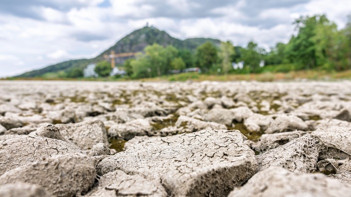 Niedrigwasser am Rhein zwischen Rhöndorf und Bad Honnef: Bei anhaltender Trockenheit und einer neuen Hitzewelle liegt das Flussbett teilweise trocken