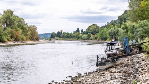  Fähre Bad Honnef weicht auf Behelfsrampe aus