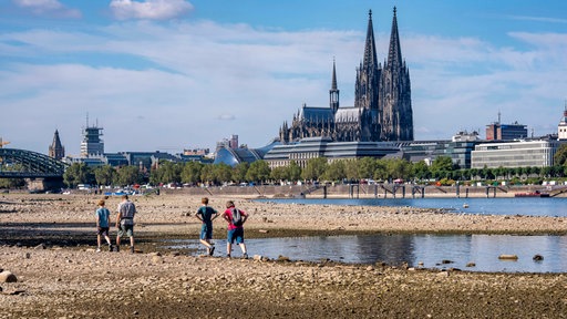 Blick vom rechtsrheinischen Ufer am Rheinpark auf die Innenstadt mit dem Dom und den Rhein bei Niedrigwasser
