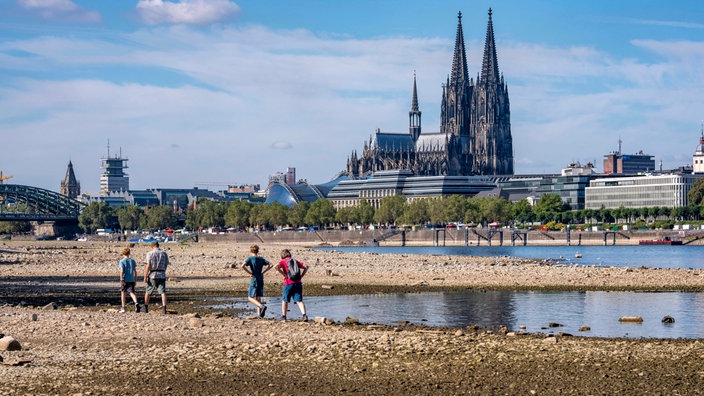 Blick vom rechtsrheinischen Ufer am Rheinpark auf die Innenstadt mit dem Dom und den Rhein bei Niedrigwasser