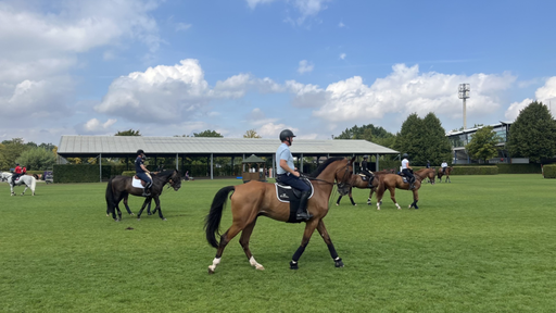 Verschiede Reiter reiten im Schritt auf einer Grünfläche.