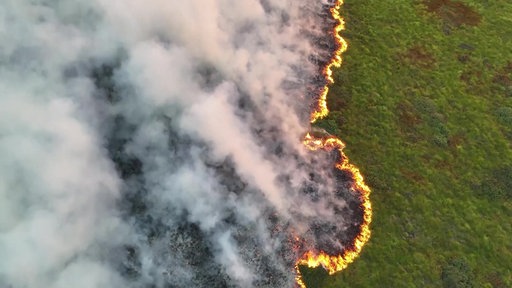 Luftaufnahmen vom Brand im Hohen Venn