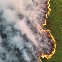 Luftaufnahmen vom Brand im Hohen Venn