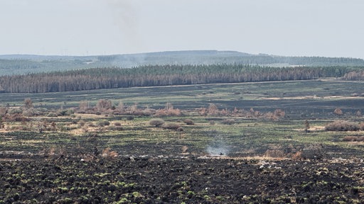 Eine von Feuer zerstörte Landschaft