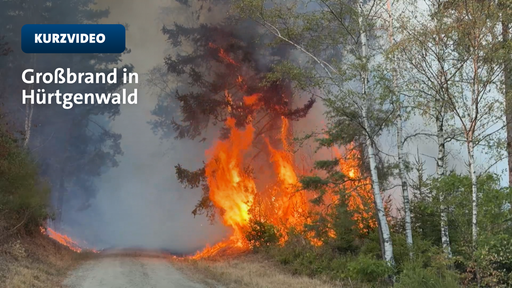 Lodernder Waldbrand an einem Weg im Hürgenwald