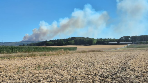 Ein Feld in Hürtgenwald. Hinter einem Hügel steigt Rauch auf.