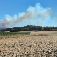 Ein Feld in Hürtgenwald. Hinter einem Hügel steigt Rauch auf.