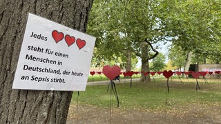Ein Schild in einem Park mit der Aufschrift "Jedes Herz steht für einen Menschen in Deutschland, der heute an Sepsis stirbt."