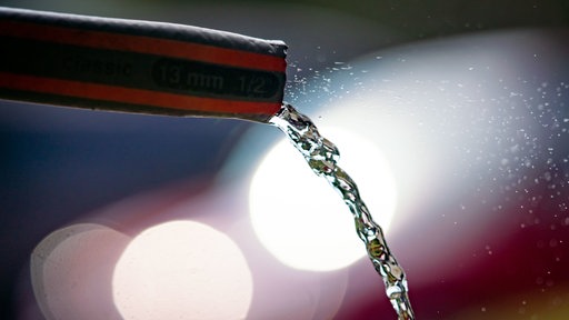 Ein schwarz-orangener Gartenschlauch aus dem Wasser kommt.