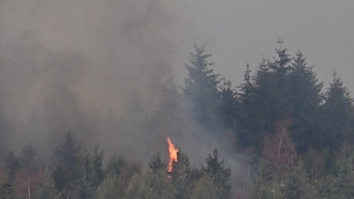 Flammen lodern bei einem Waldbrand im Hürtgenwald