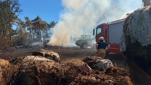 Ein brennendes Feld in Nettersheim. Rechts im Bild ein Feuerwehrauto. Links eine Feuerwehrmann. Zudem ein Traktor.