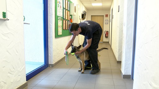 Ein Mann in Polizei-Uniform steht leicht gebeugt über einem Schäferhund, der einen Tennisball im Maul hat.