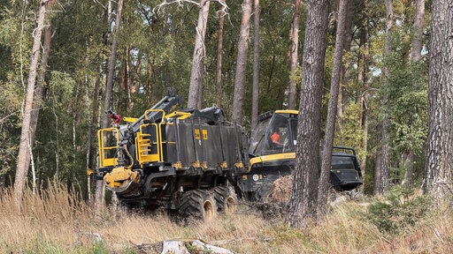 Ein großes Löschfahrzeug steht im Wald
