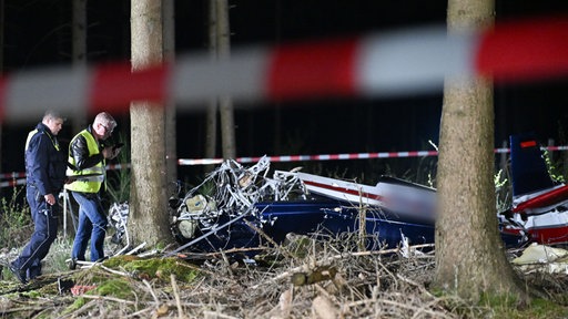 Im Wald liegen die Teile eines Flugzeugwracks