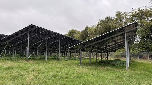 Eine Photovoltaikanlage auf einem Feld, sie steht auf Stelzen