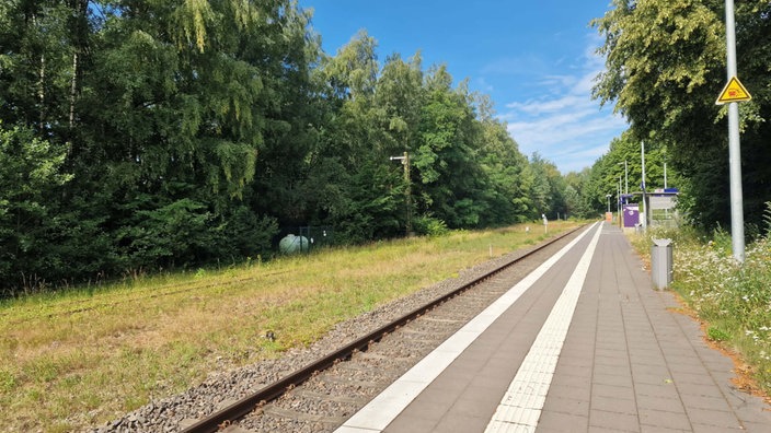 Leerer Bahnsteig in Wegberg an dem ein Gleis entlangführt. Entlang der Strecke stehen viele grüne Bäume. 