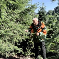 Josef Nüsser begutachtet einen Weihnachtsbaum auf seiner Plantage in Wassenberg.
