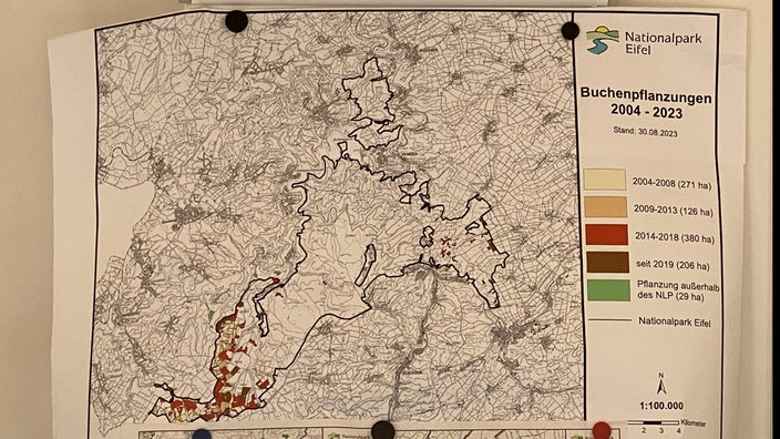 Eine Karte des Nationalparks Eifel. Im Südwesten des Nationalparks sind Buchenpflanzungen von 2004  bis 2023 eingezeichnet.