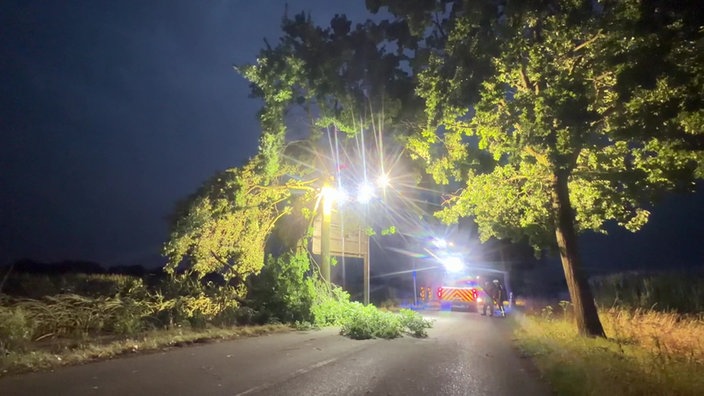 Die Feuerwehr schneidet im Regen Teile eines Baumes ab