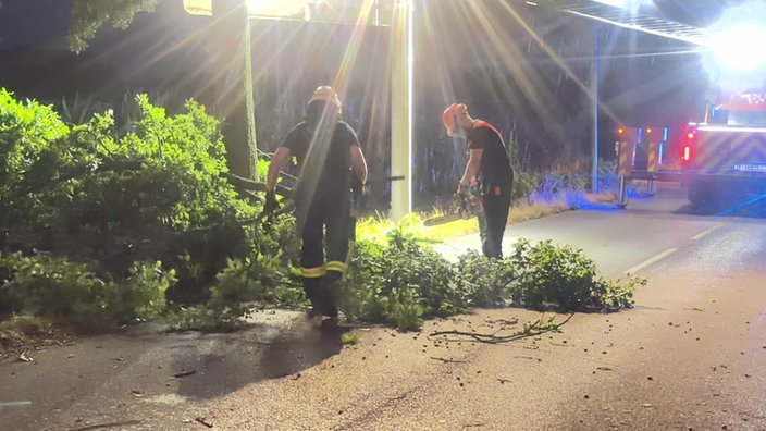 Die Feuerwehr schneidet im Regen Teile eines Baumes ab
