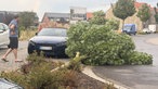 Ein Baum liegt umgekippt direkt neben einem blauen Auto; die Familie der Besitzerin steht drum herum