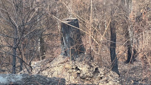 Kreuze bleiben stehen trotz Feuer