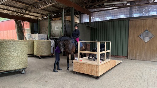 Dressur-Reiterin Annika Brunkhorst sitzt auf ihrem Pferd in einem Stall.