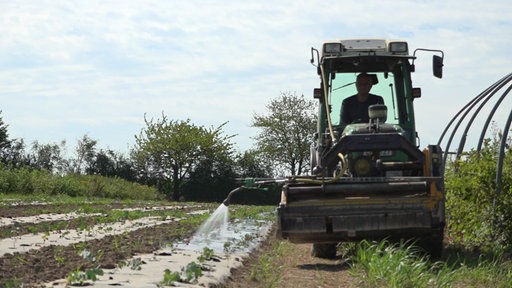 Auf einem Feld mit kleinen Pflanzen sprüht ein Traktor Wasser.