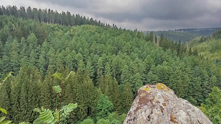 Über eine Felsspitze geht der Blick in die Ferne, in der sich ein Tannenwald und ein Himmel mit schweren, grauen Wolken befindet.