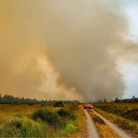 Die belgische Feuerwehr bekämpft den Brand im Hohen Venn