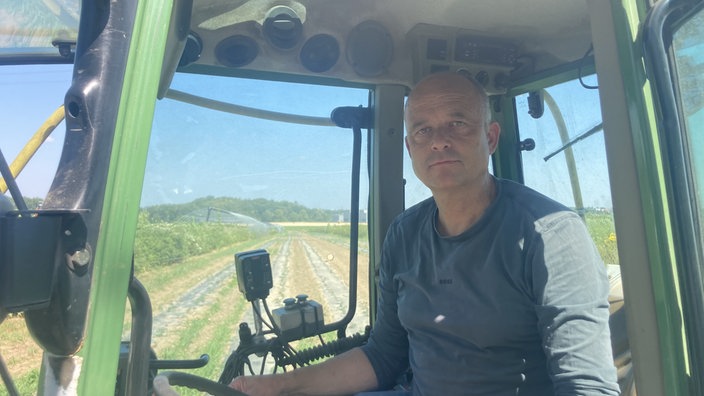 Der Gärtner sitzt in seinem Traktor. Hinter ihm prallt die Sommersonne auf sein Feld voller Eukalyptuspflanzen.