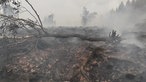 Brandschäden im Hohen Venn