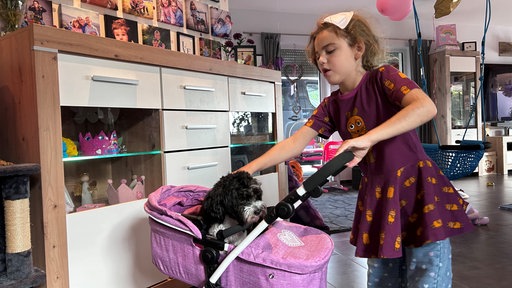 Ein Mädchen mit lila Kleid streichelt einen schwarz-weißen Hund, der in einem Kinderwagen sitzt. Im Hintergrund sind Schränke, ein Fernseher und Bilder an den Wänden im Zimmer.
