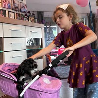Ein Mädchen mit lila Kleid streichelt einen schwarz-weißen Hund, der in einem Kinderwagen sitzt. Im Hintergrund sind Schränke, ein Fernseher und Bilder an den Wänden im Zimmer.