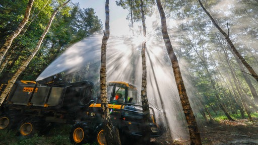 Das Speziallöschfahrzeug FireFighter des Landes Nordrhein-Westfalen fährt durch Gelände im Wald. 