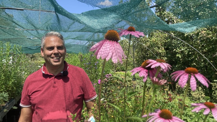 Armand Kremer lächelt während er neben einem Tisch voller Pflanzen, violetten Blumen und unter seinen Schattentüchern steht