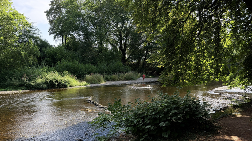 Das Wasser in der Rur ist so niedrig, dass man die freigelegten Kiesbänke sehen kann