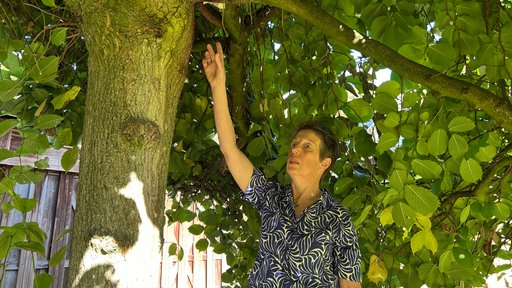 Annette Sunderhaus steht am Baum in ihrem Garten und zeigt in die Krone.