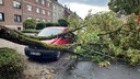 Baum ist in Mönchengladbach vor einem Auto umgestürzt