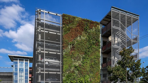 Die Wand eines Parkhauses ist begrünt