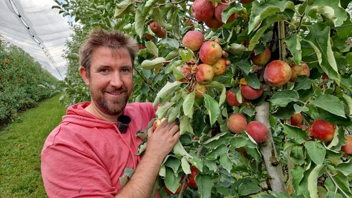Jan Zimmermann vom Sackerhof Ratingen steht vor einem Apfelbaum und hält einen hängenden Apfel in der Hand